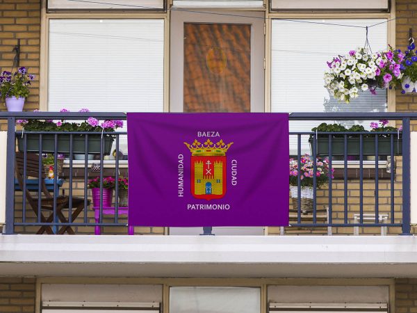 Bandera Baeza