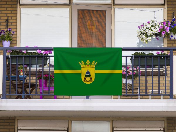 Bandera Baños de la Encina