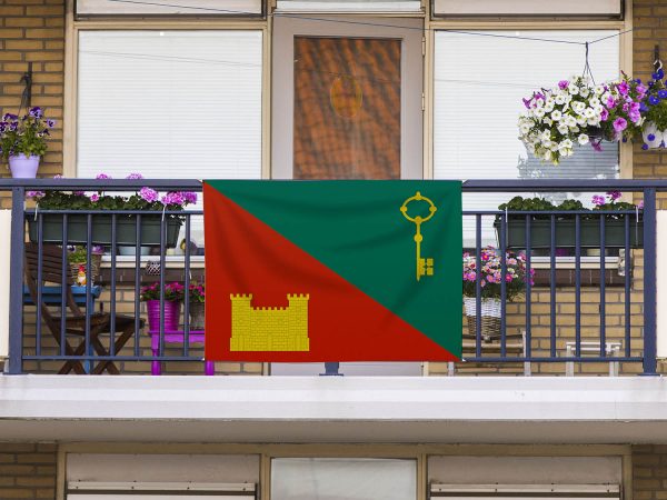 Bandera Huelma