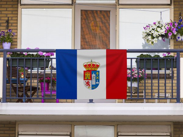 Bandera Lupión