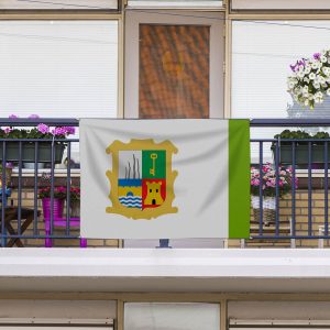 Bandera Marmolejo