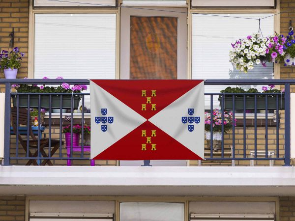 Bandera Villardompardo